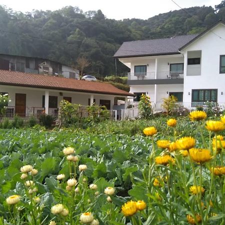 Ng Family'S Farm Stay Камерон-Хайлендс Экстерьер фото