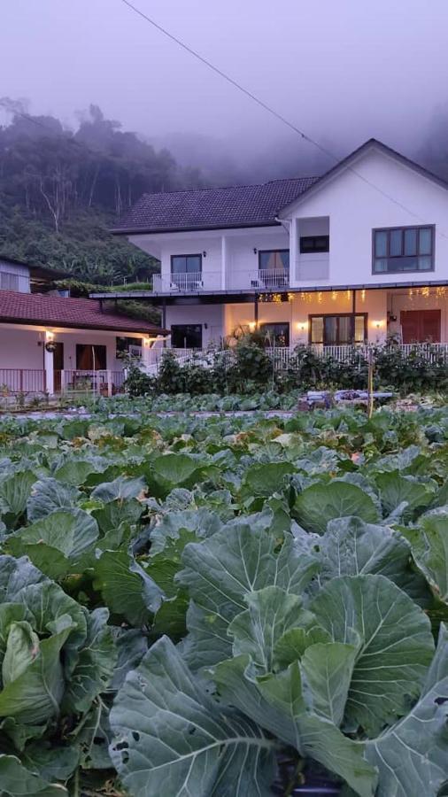 Ng Family'S Farm Stay Камерон-Хайлендс Экстерьер фото